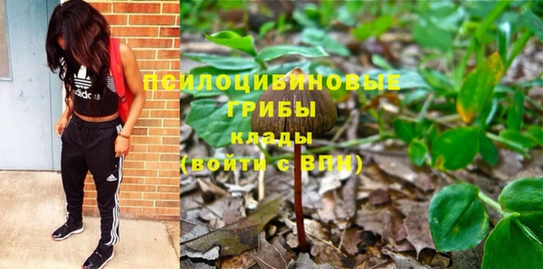 ГАЛЛЮЦИНОГЕННЫЕ ГРИБЫ Зеленодольск