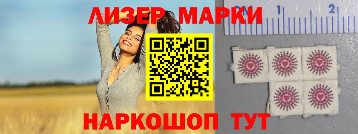 МЕФ Славгород