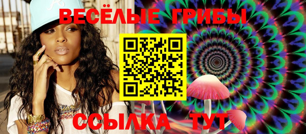 Галлюциногенные грибы Psilocybine cubensis Славгород