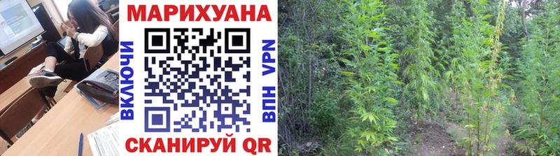 ссылка на мегу вход Славгород Канабис семена как найти закладки
